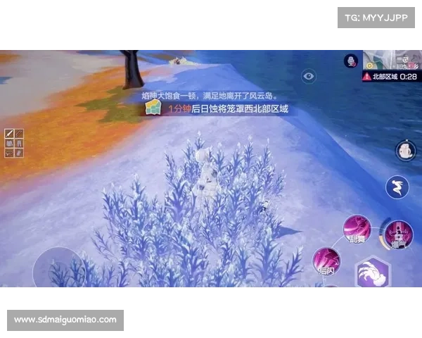 风云岛行动隐藏宝箱位置揭秘及开启技巧全面解析 风云岛行动隐藏宝箱位置揭秘及开启技巧全面解析
