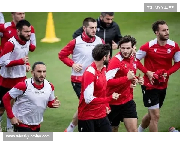 土耳其足坛最新战况与热门赛事分析：战术、伤停与冠军走向透视前瞻