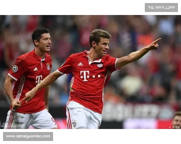 安联赞助商的独特优势与市场竞争力解析