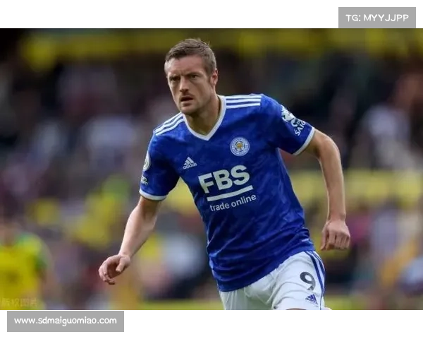 全面深入解析瓦尔迪在球队体系中的角色定位与长期影响发展探讨